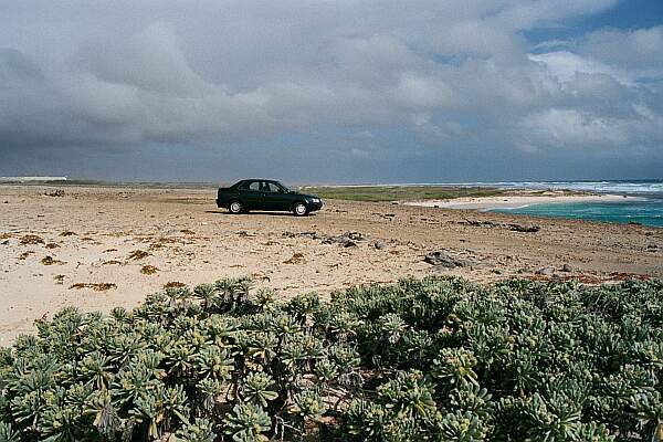 Parking is on a hard limestone base.  It's a short walk to the beach.