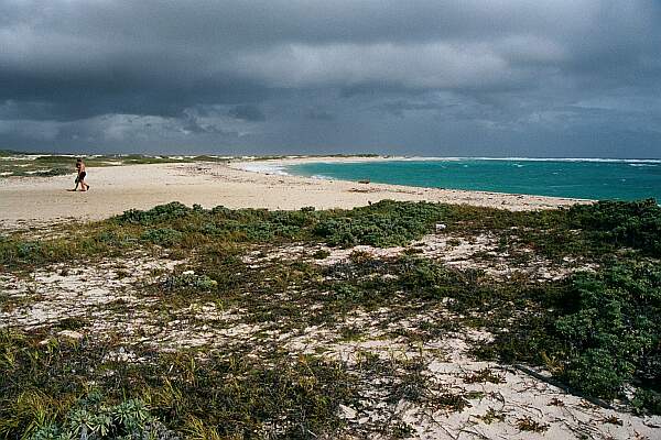 The beach is large.  This is the part closest to the parking.