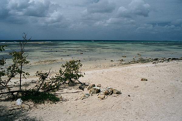 Keep your fins off as you walk the shallows toward the drop off.