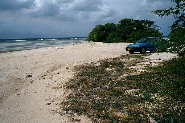 The sand is hard packed, so should be no problem for a car.  The dive entry is back beyond the car, behind the trees.