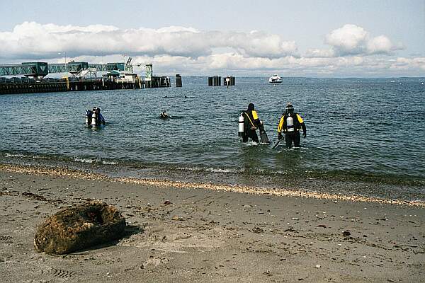 With the ferry terminal on your left, keep your diving to the right!