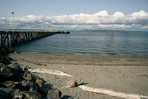 It's a bit of a swim out to the end of the dock during high tide, and quite the walk during low!  Take your time and descend once you've made it to the end.