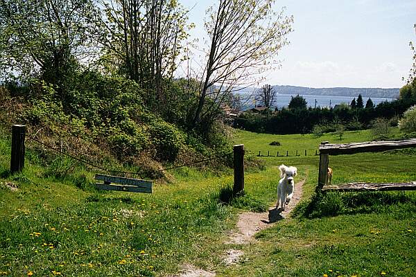 This is the start of a 200 yard hike down to the water.  Use a tank cart, especially for the hike back up!