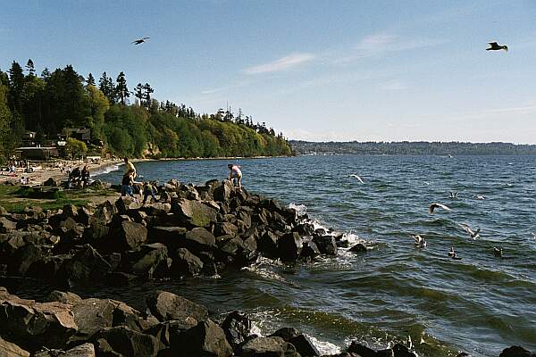 Looking South, this is the exit of a small creek that runs through the park, with the swimming beach in the background.