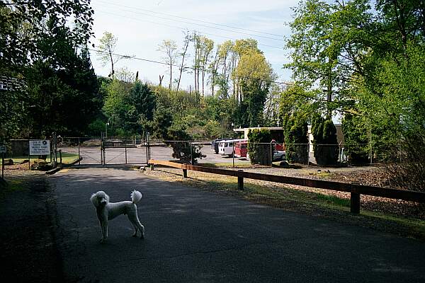 This the turn around spot at the treatment plant.  Drop your gear off, and carry it down the fence line, over the railroad tracks to the water's edge.