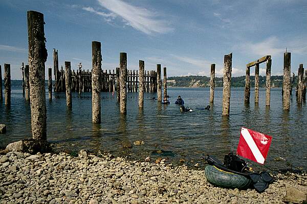 Entry is very easy.  Swim beyond the outer pilings to reach the ledges.