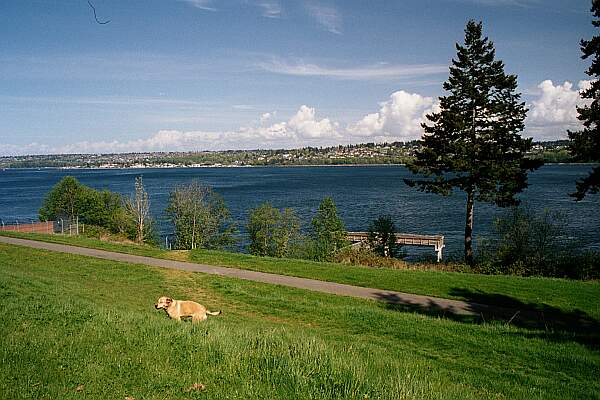 The picnic area and fishing pier are in the background.