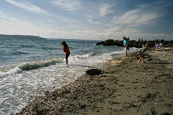 From the swimming beach, enter the water and head straight out from the creek.  After about a 300 yard kick, you'll hit a buoy that marks the wreck.