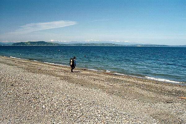 The beach is even and sandy-- perfect for a beginner dive.