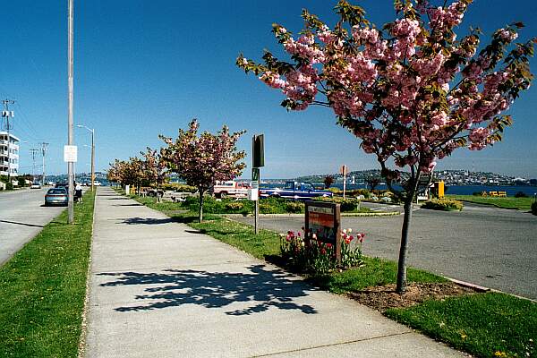 You'll find parking in the lot or along side the street.