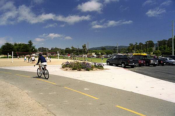 This is a 'full service' beach, so there are plenty of activities for the non-divers in your group.