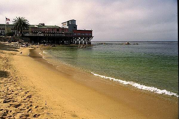 The entry couldn't be easier.  The more interesting diving is just beyond the kelp bed.