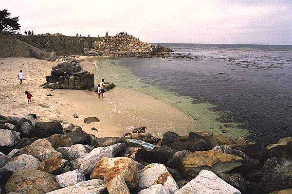 Notice the kelp just off the beach.