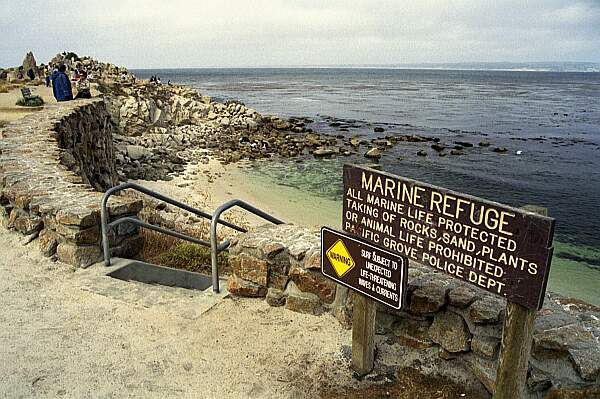 It's an easy hike to the beach.