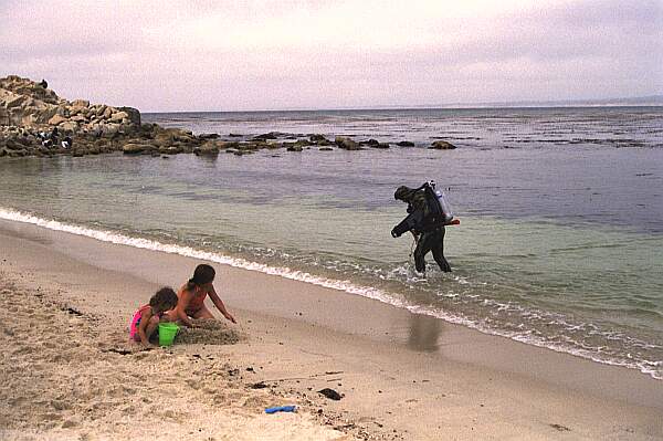 It's a simple walk into the water.  Swim straight out and then to the left to get to the clear water.