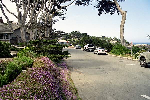 There is usually parking next to the trail head on Scenic Road.