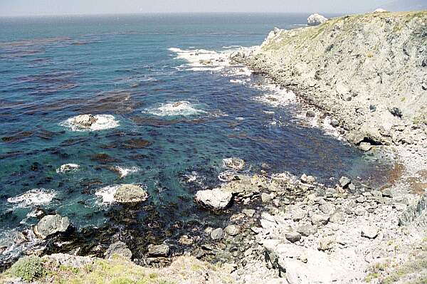 Blue-green water, kelp, jade and a potpourri of creatures await you!