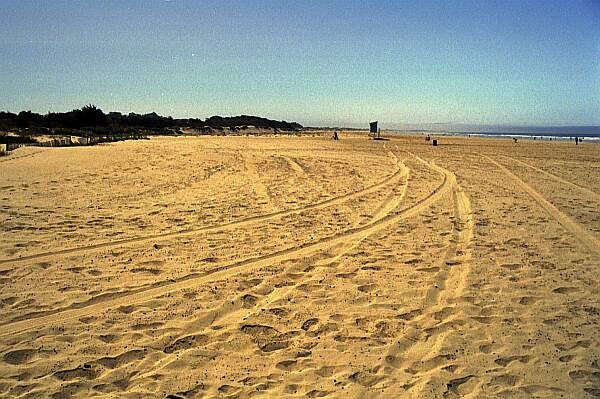 Sand, Sand Everywhere!  During off-season, you'll have the beach to yourself!