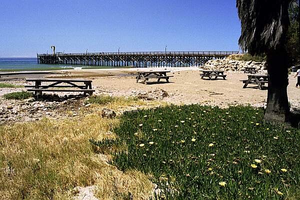 The fishing and boat-launch pier is in the background.