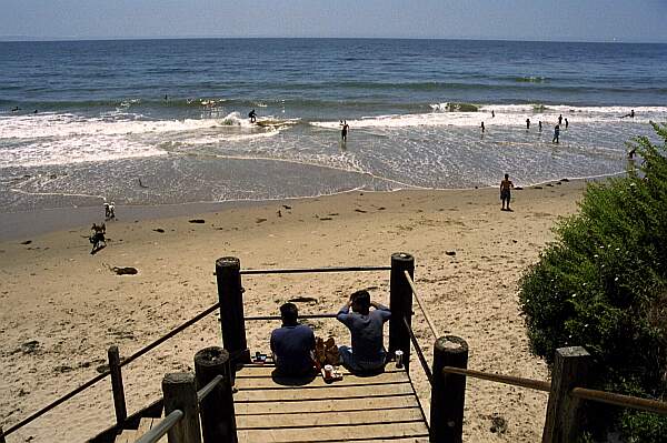 On a calm day, you'll see the kelp beds just off shore.