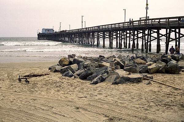 You will want to enter near the pier area.  Talk to one of the life guards for recommendations, or get the straight scoop from a local dive shop.