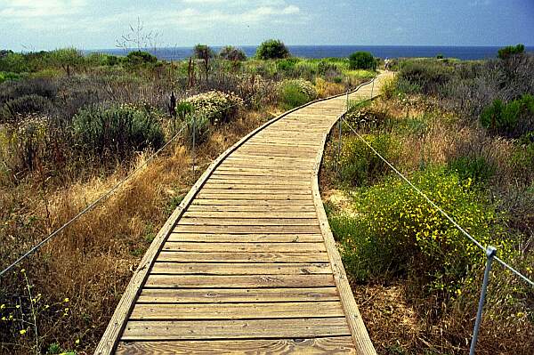 The trails are generally well-developed.