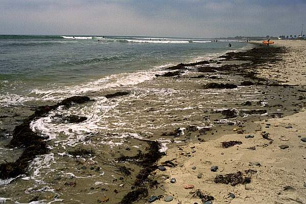 There's a bit of kelp to wade through, but few other hazards.
