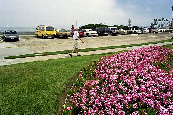 Parking, like all of La Jolla, is very limited.  Get here early, or on a weekday to avoid the crowds!