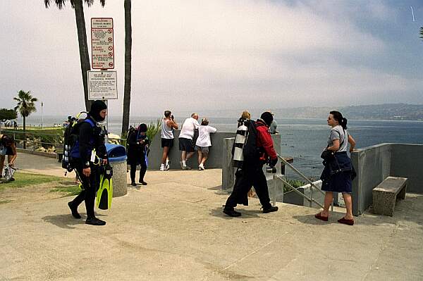 With fins in hand, head down the stairs.