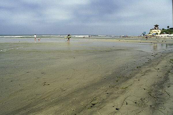 The wide, sandy beach makes for an easy entry.  Head straight out for about 400 yards to find this seldom-explored reef.