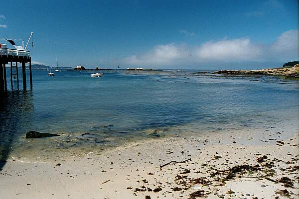 The rocky point and kelp are just a short distance away. Some prefer to launch a kayak from here to explore further out.