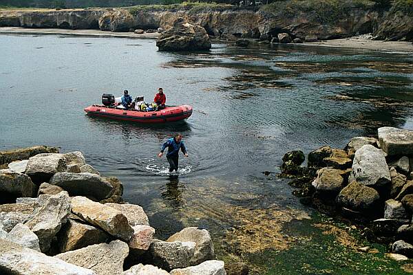 There are several dive spots in the reserve, most of which you will need a boat to access.  Cannery Point is the closest, and is an easy swim.