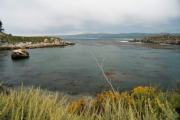 The parking lot is in the background.  Around the point to the left, you will find your dive spot, Cannery Point.