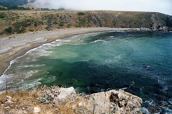 The water can be cloudy from the beach, so just kick out for a while until you reach the clear water.