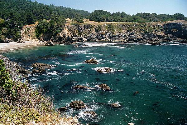 Take a view from the Northern cliff to see the conditions and the location of the kelp.  The entry beach is to the left.