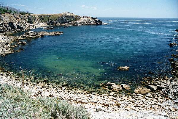 The rocky coast line is a terrific place to explore.