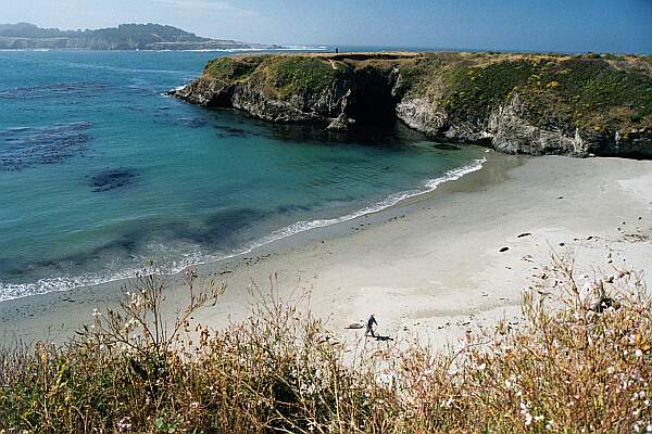 You can clearly see the kelp beds, and the dark entrance of the cave to the right of the beach.