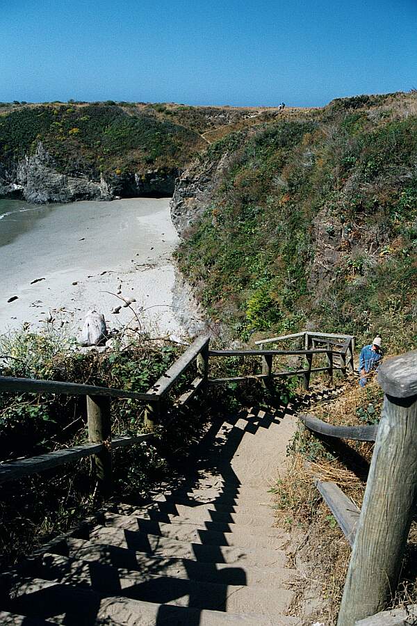 Getting down to the beach is an easy walk down a dirt path and then down these stairs.