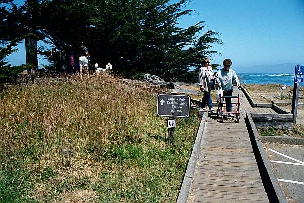 The beginning of the boardwalk is ramped and makes for an easy stroll.  If you are lugging dive equipment, you may want to use a tank cart, since it's about a quarter mile walk to the entry.