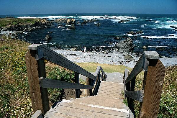 The stairs take you down to the beach entry for diving and browsing the tidal pools.