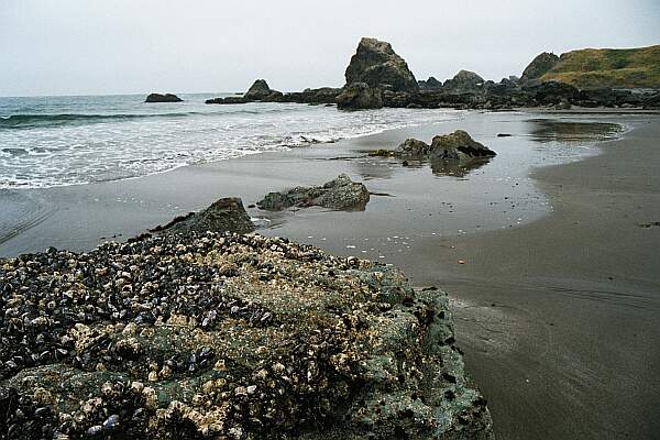 The beach is sandy, but as always, be careful of boulders just under the surf line.