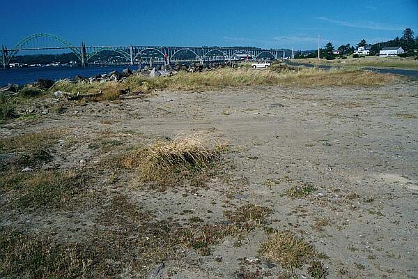 The whole jetty has parking next to the water.  Pick your 'finger' and park there.