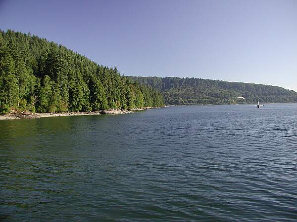 Looking just off the swimming beach.