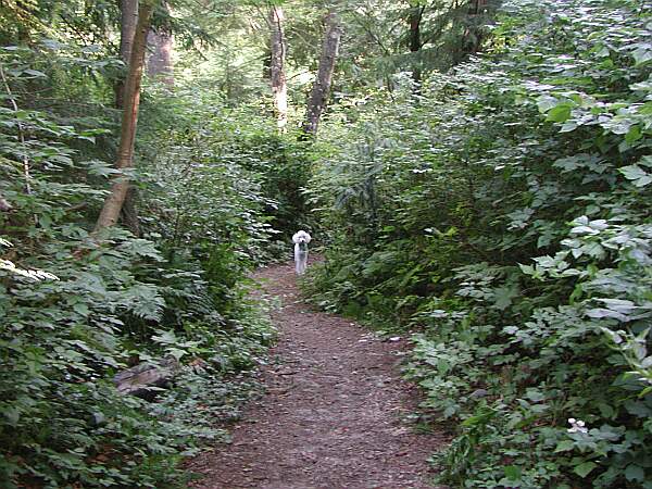 A 100 meter path takes you to the water's edge.   Beware of the fierce and elusive White Wolf!