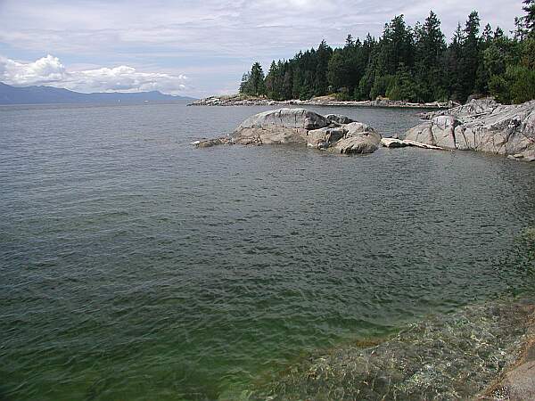 A 5 minute swim will take you to the reef.