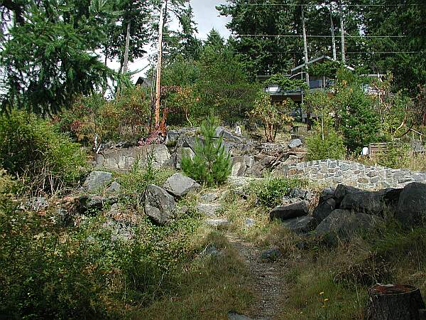 Looking back up the trail toward the street.