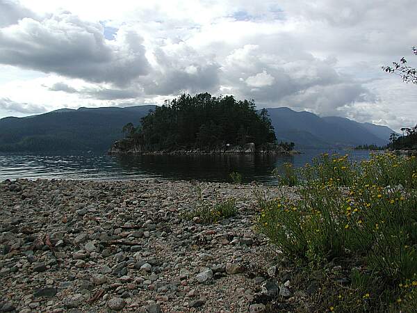 The island is an easy swim from shore with plenty of rocky bottom to explore in-between.