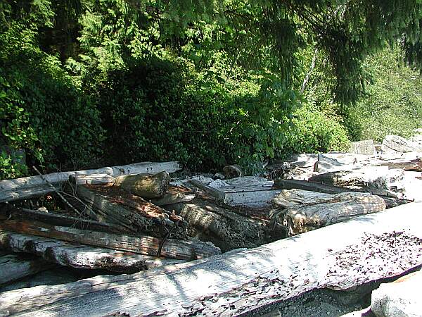 The end of the trail is sometimes blocked by logs.  Just help your buddy over or around them.  The water is only 10 meters away.