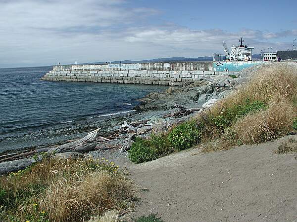 The walk to the water's edge is an easy hike.  The jetty before you is only 20% of entire wall.  Snorkel out to this point to find the first plaque.