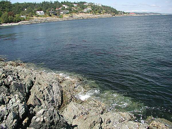 The rocks are difficult to negotiate, so choose your entry carefully.  Remember to swim into the current to make sure you can easily return to the entry point.